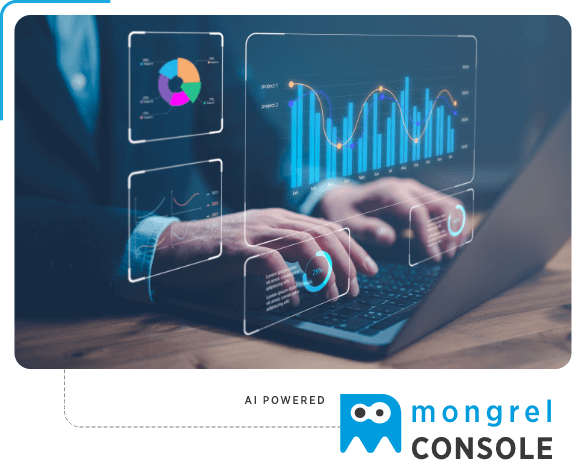 Mongrel Console Dashboard